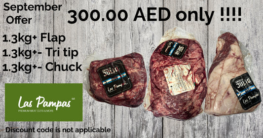 September offer 300 AED ONLY!!!